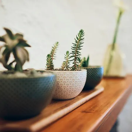 팜스테이 Il Magan - Cinque Terre 코르니글리오