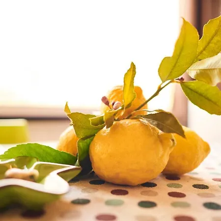 Il Magan - Cinque Terre 克里日亚